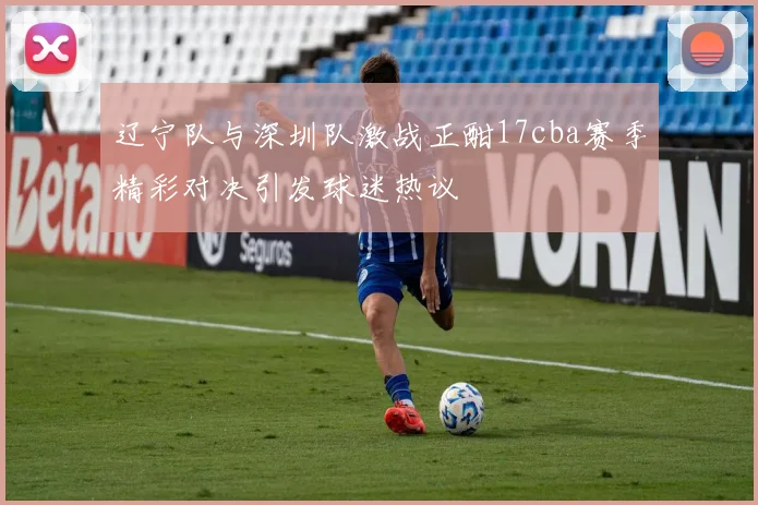 辽宁队与深圳队激战正酣17cba赛季精彩对决引发球迷热议
