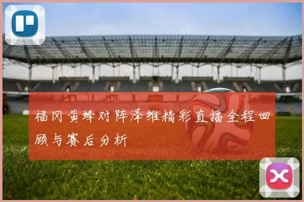 福冈黄蜂对阵泽维精彩直播全程回顾与赛后分析