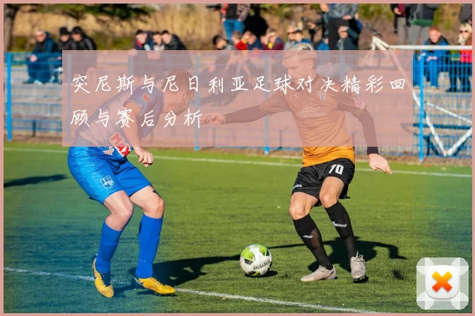 突尼斯与尼日利亚足球对决精彩回顾与赛后分析