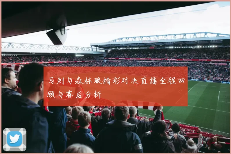 马刺与森林狼精彩对决直播全程回顾与赛后分析