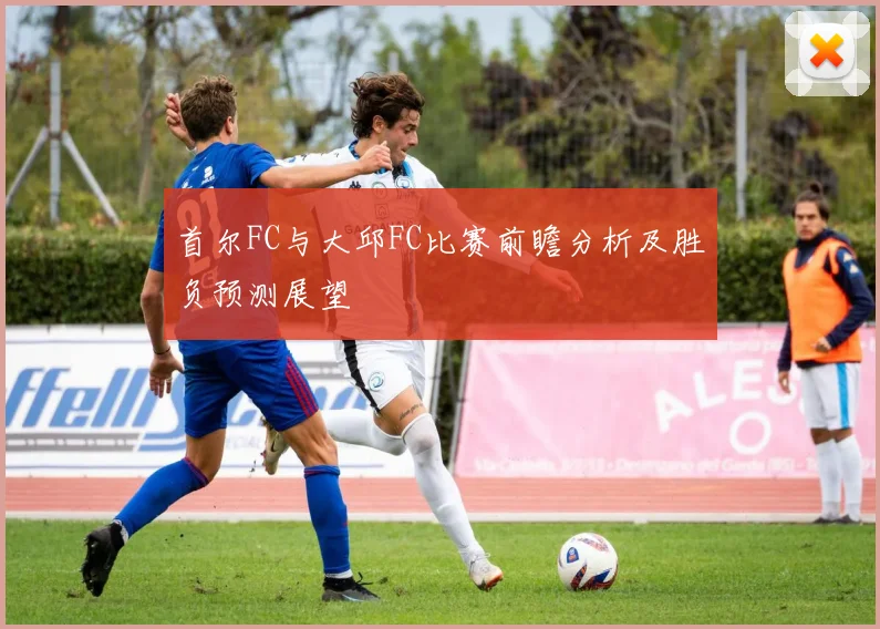 首尔FC与大邱FC比赛前瞻分析及胜负预测展望