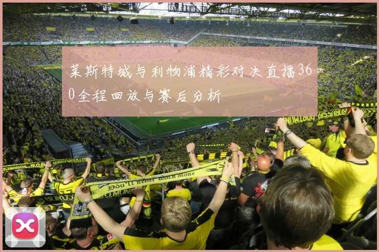 莱斯特城与利物浦精彩对决直播360全程回放与赛后分析