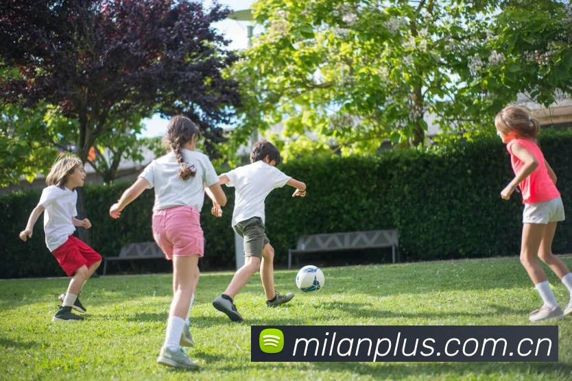 米兰体育平台生态图